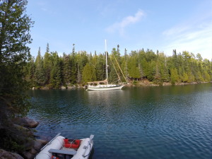 August 14 Gaviidae in Brule Harbour