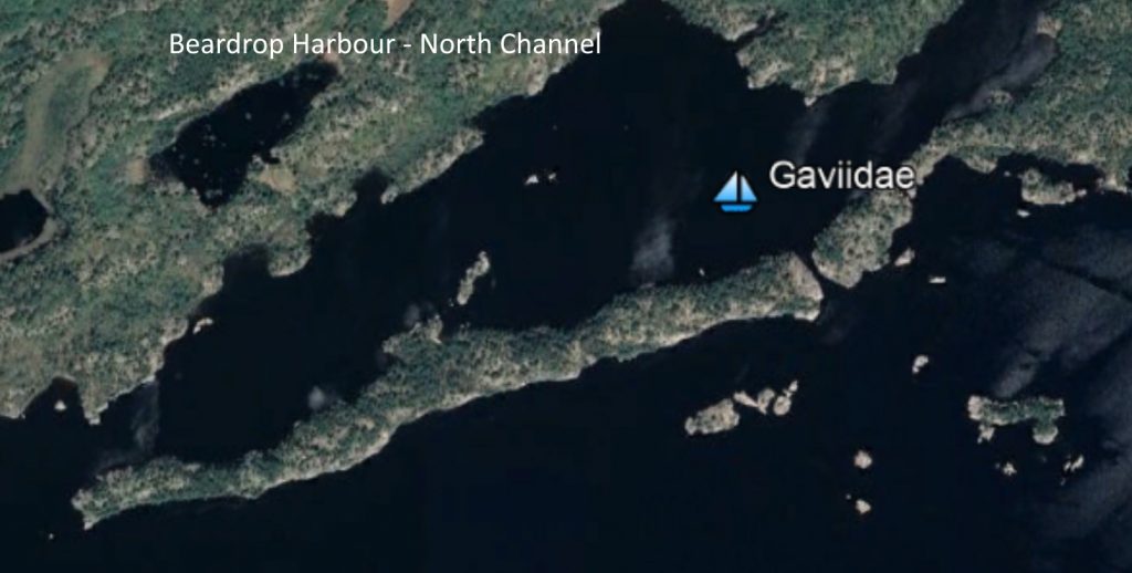 Google Earth view of Beardrop Harbour