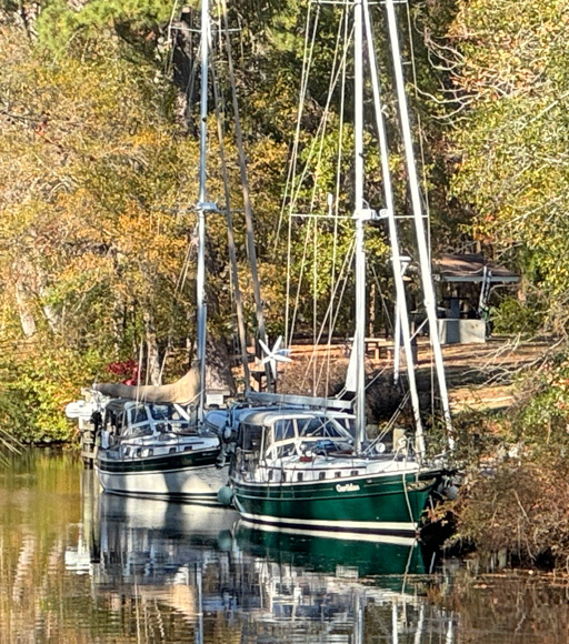 Dismal Swamp