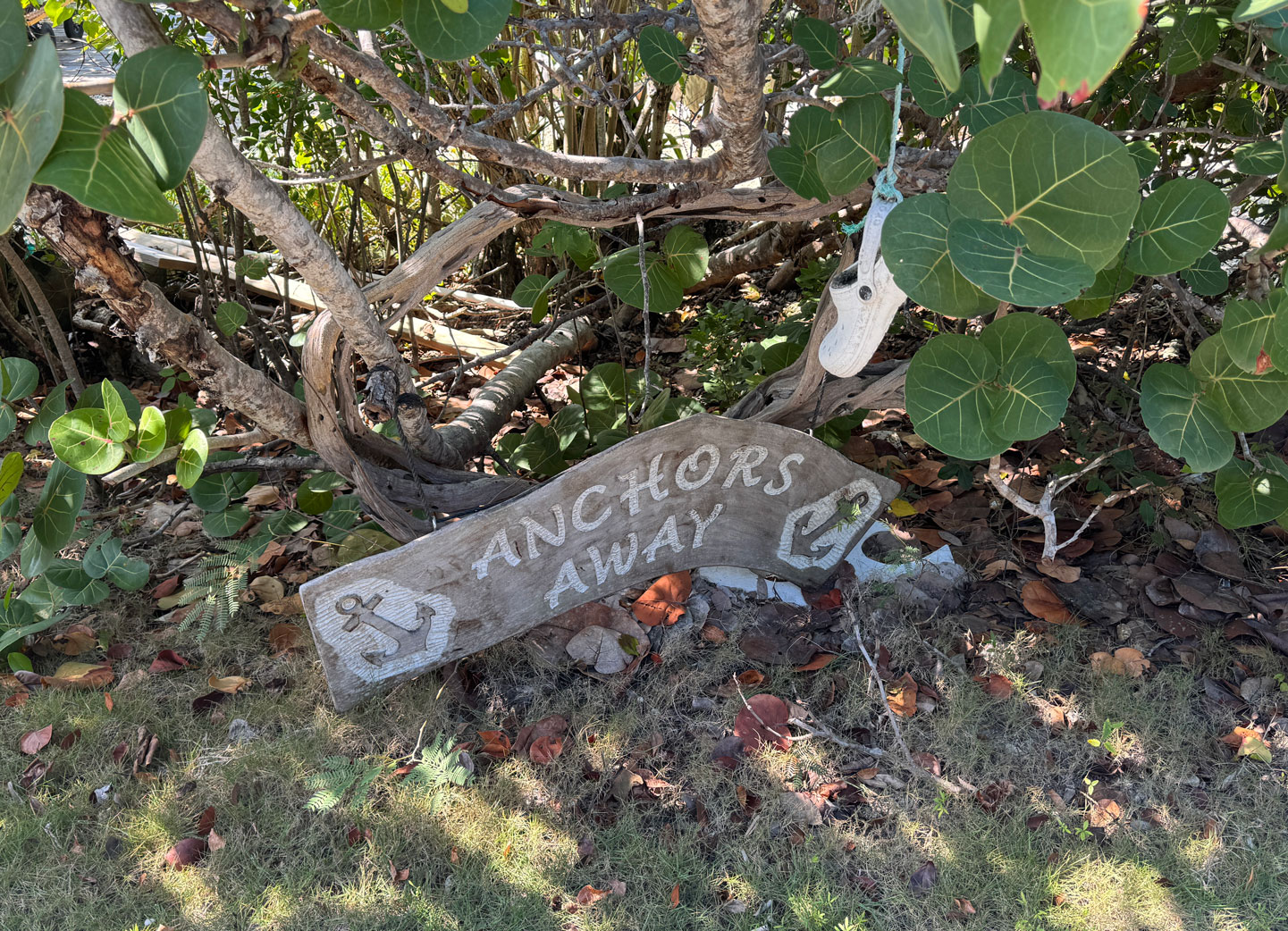 20250228-Anchors-Away