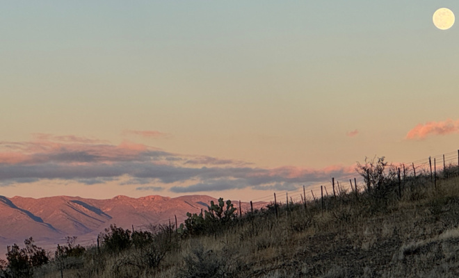 Road trip – Desert Hot Springs CA to Katy TX